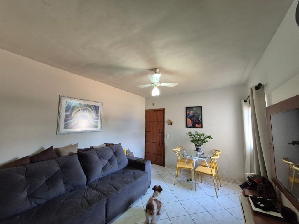 WhatsApp Image 2026-02-24 at 15.03.58 (1)